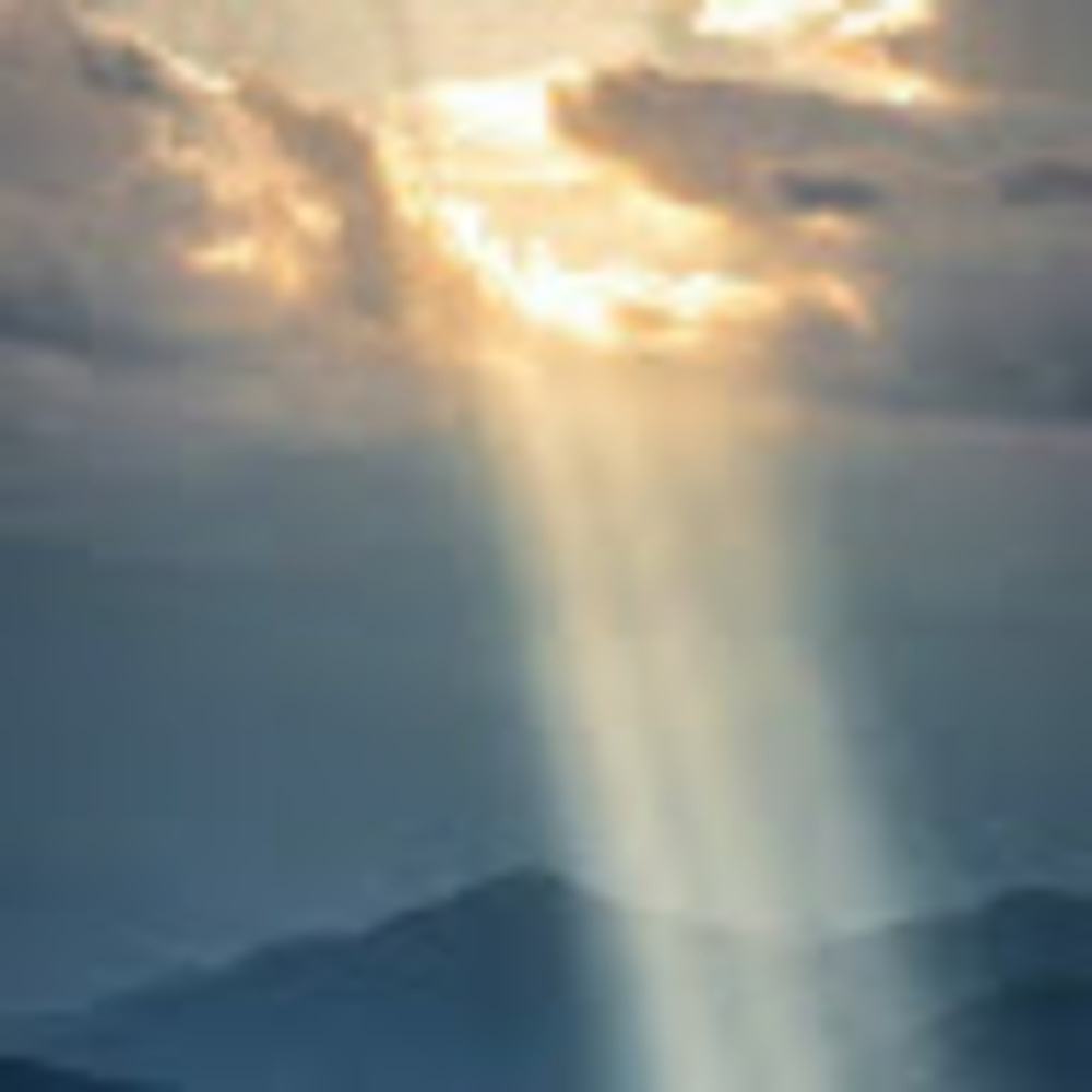 Meet your Posher, Sherrie